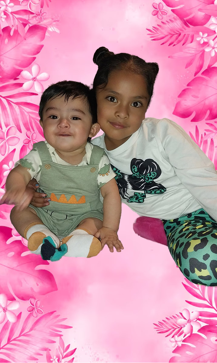 Contenido